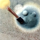 Abbildng: Platzhalter