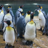 Abbildng: Platzhalter