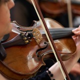 Abbildng: Platzhalter