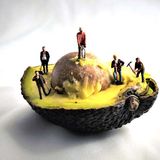 Abbildng: Platzhalter