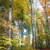 Abbildng: Platzhalter