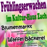 Abbildng: Platzhalter