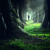 Abbildng: Platzhalter