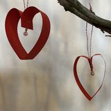 Abbildng: Platzhalter