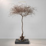 Abbildng: Platzhalter