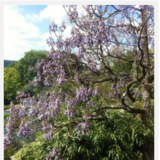 Abbildng: Platzhalter