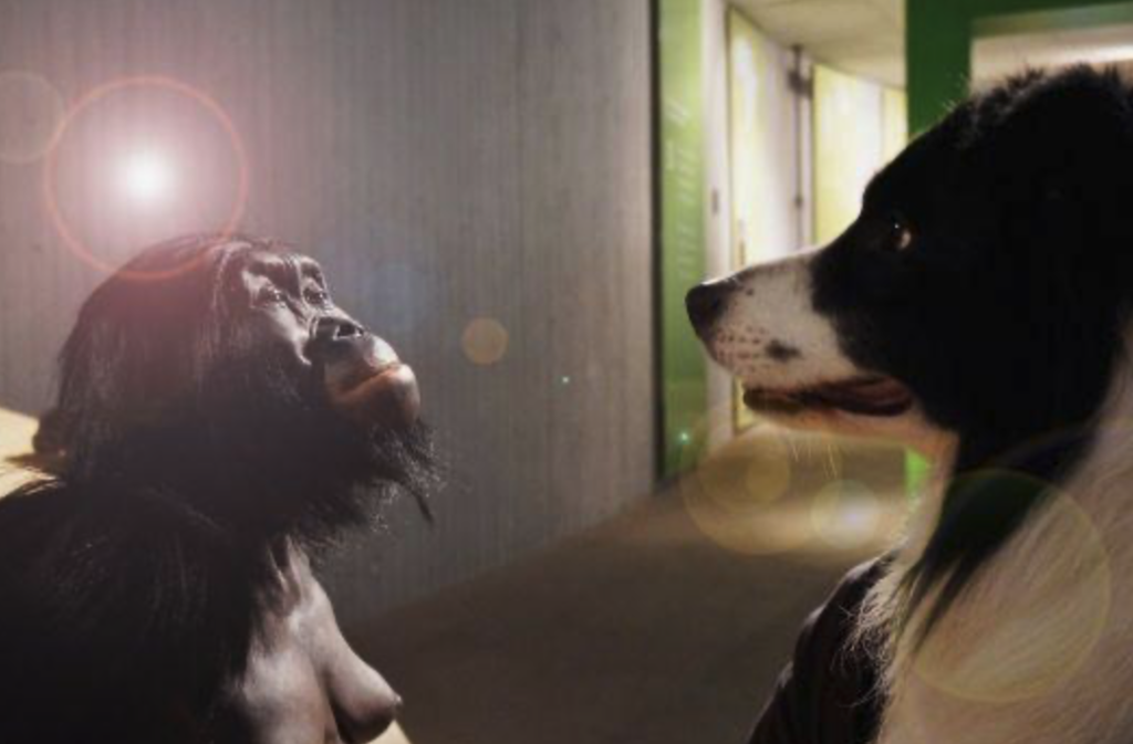 DoggyDay in Mettmann
