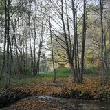 Abbildng: Platzhalter