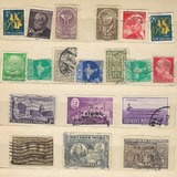 Abbildng: Platzhalter