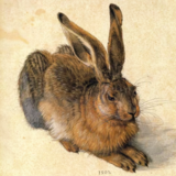 Abbildng: Platzhalter