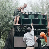 Abbildng: Platzhalter