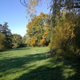 Abbildng: Platzhalter
