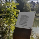 Abbildng: Platzhalter