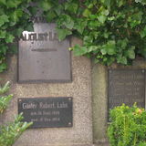 Abbildng: Platzhalter