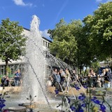 Abbildng: Platzhalter